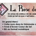 Coeur de Sel - contreparties 10 euros