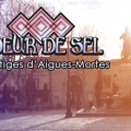 Coeur de Sel 1. Vesdtiges d'Aigues-Mortes