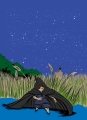 couv-ch4-couleurs