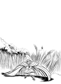 couv-ch4-encrage