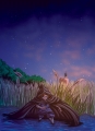 couv-ch4