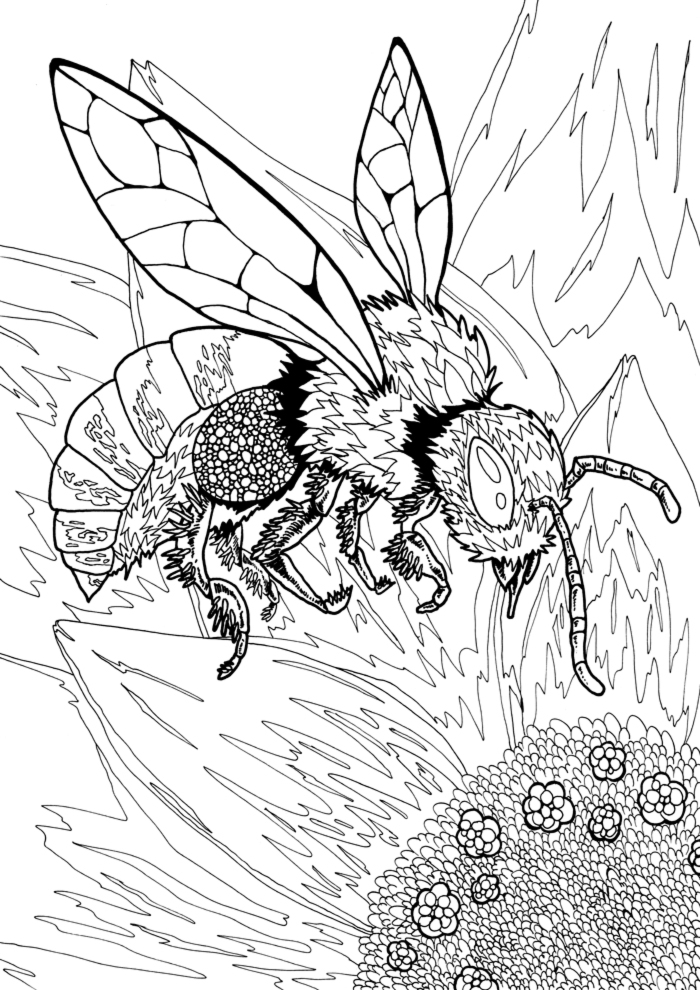 Aonaka-abeille