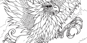 Album de Coloriage